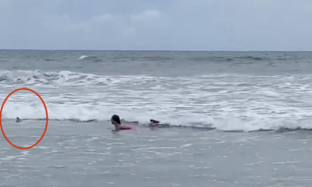 Watch: Girl, 11, frightened from surf by approaching shark