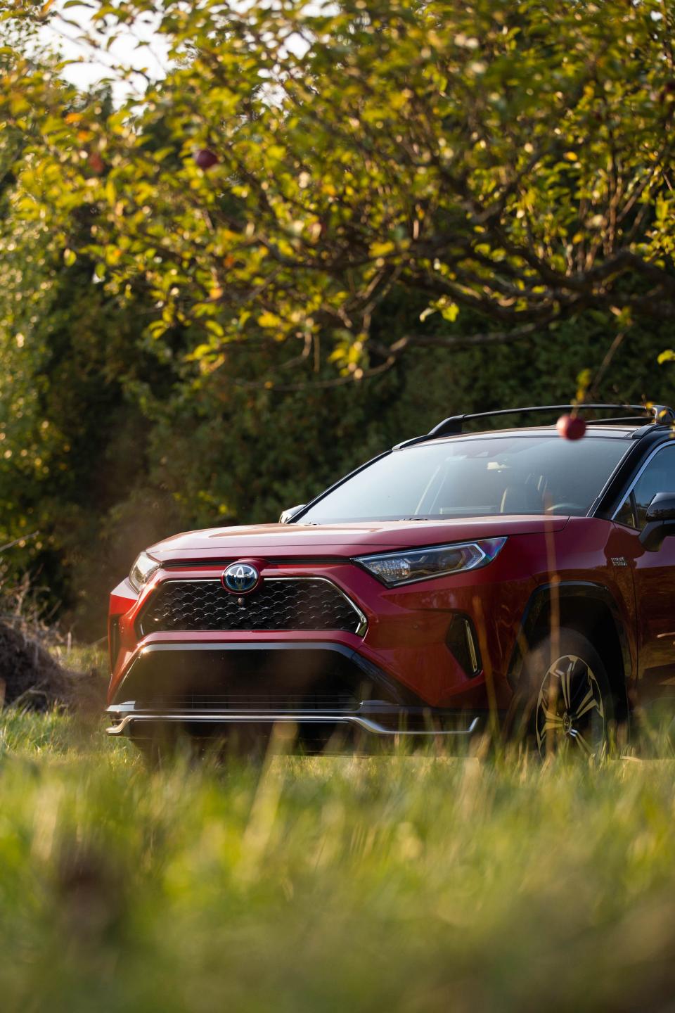 2021 Toyota RAV4 XSE AWD_KL_49