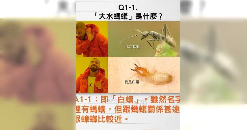 「台灣昆蟲同好會」臉書粉專分享「白蟻懶人包」，希望讓民眾多一分了解，少一分害怕。（圖／翻攝自臺灣昆蟲同好會臉書粉專，下同）