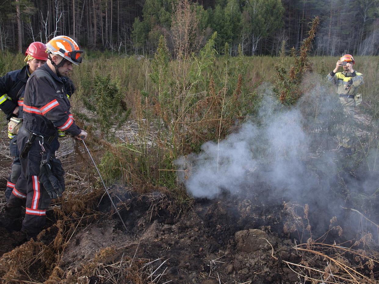 Volunteer fire fighters battle smoldering peat, so-called 