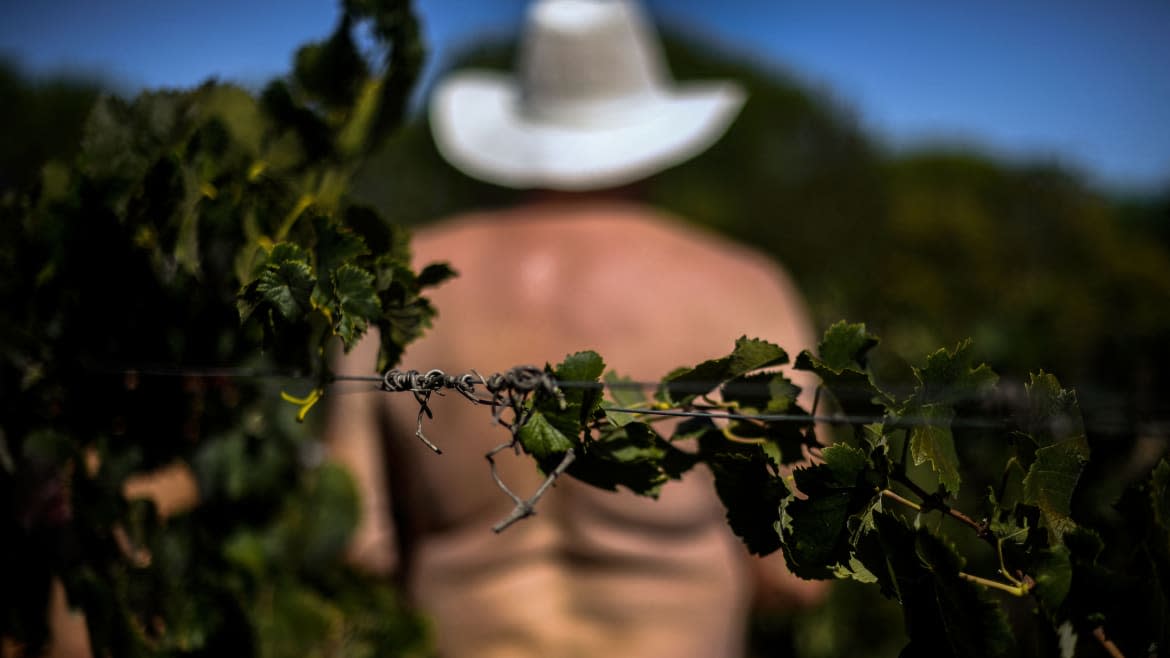 Patricia de Melo Moreira/AFP via Getty Images