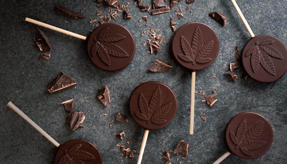 Stock photo of cannabis infused chocolate THC lollipops for medical and recreational consumption. Chocolate edibles.