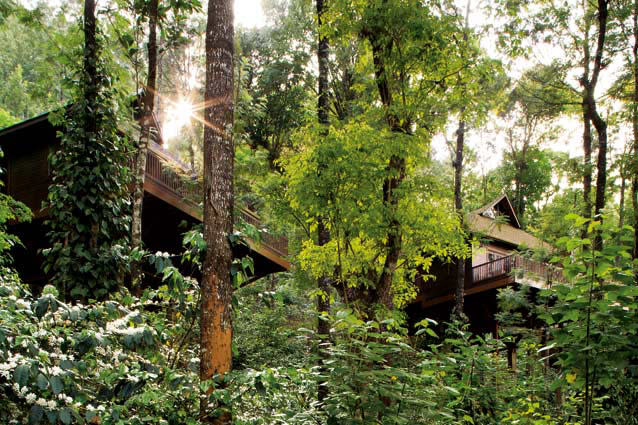 The Tamara Coorg. Photo: Michael Turek - The long drive to Kabinakkad Estate, 260km from Bengaluru, sets the tone for the languorous agenda ahead. You’ll find no dramatic elements en route here; just gently curving roads and blossom-scented air that lead you to 170 acres of pristine, private space. Set among lush coffee plantations, the cottages on stilts seem to float above the misty Kodagu valley.