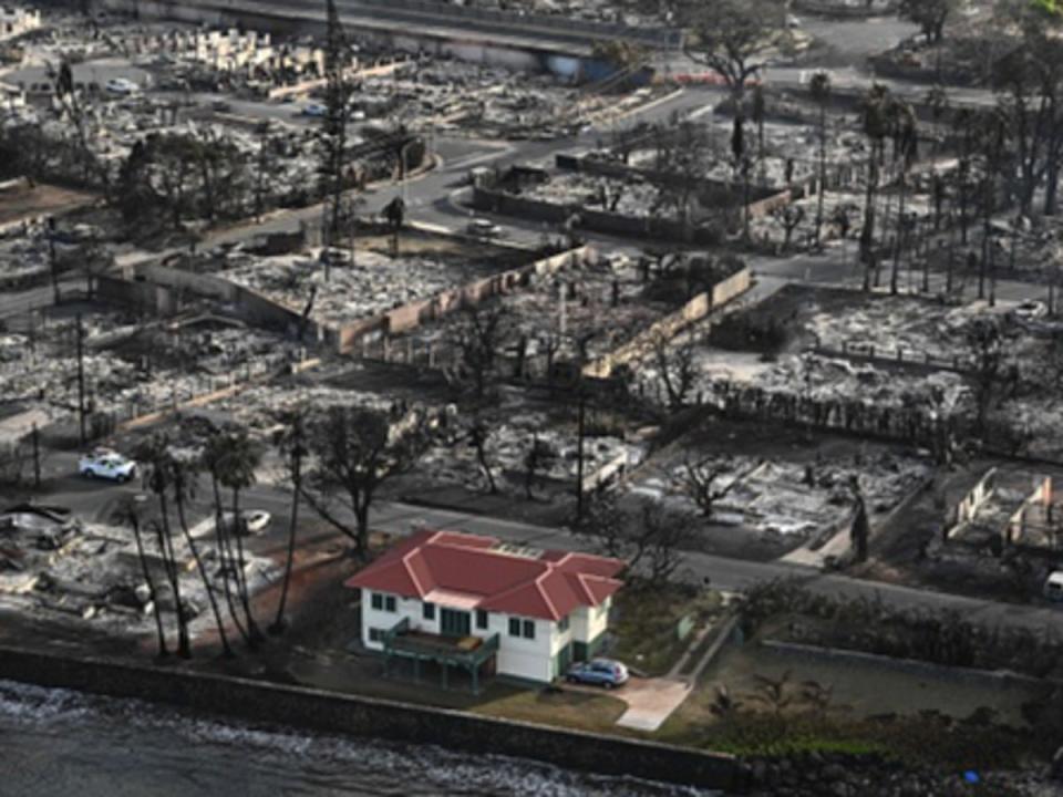 The red-roofed home on Front Street in the Hawaiian town of Lahaina was spared from the recent deadly wildfire while those around it burned (AFP via Getty Images)