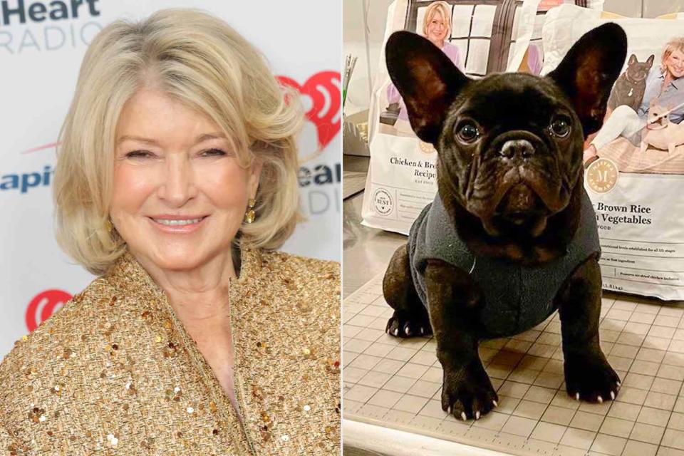 <p>Michael Loccisano/Getty; Martha Stewart/ Instagram</p> Martha Stewart and Luna Moona