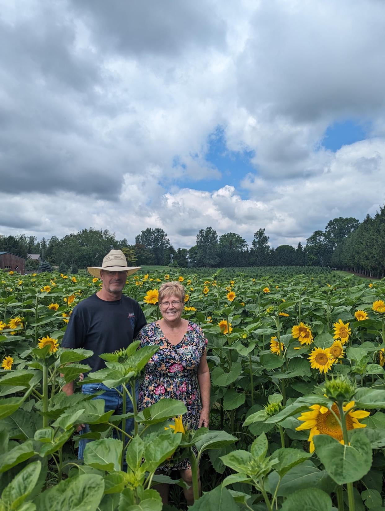 Gail and Matthew Whitney in their sunflower field.  (Submitted by Gail and Matthew Whitney - image credit)