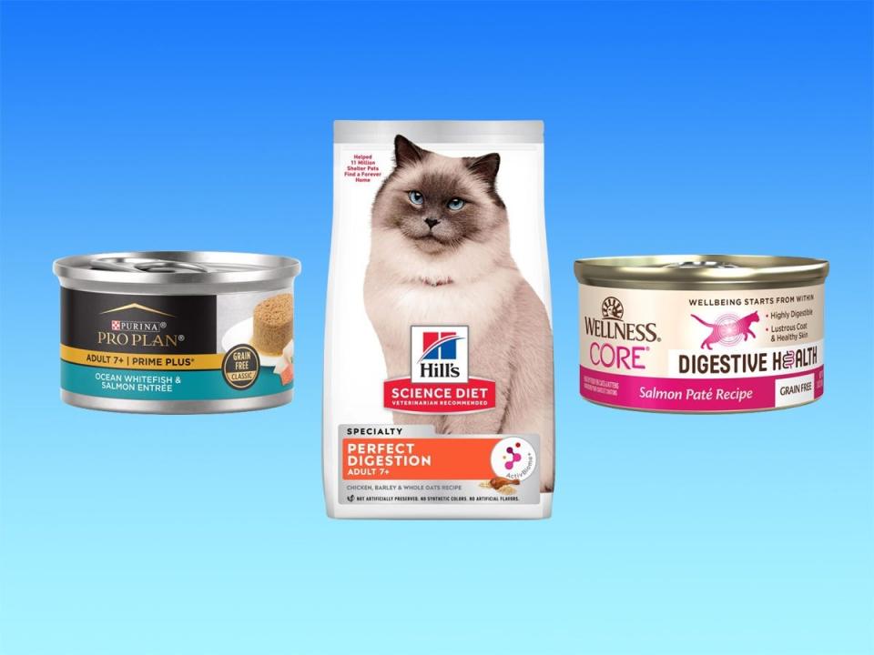 Two cans and a bag of cat food for senior cats with sensitive stomachs from Purina, Wellness, and Hill's, against a blue gradient background..