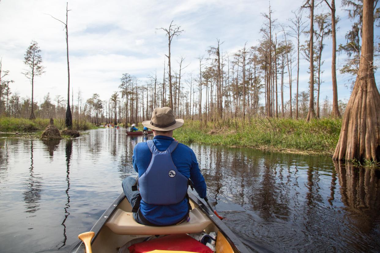 Paddlers in the Okefenokee.