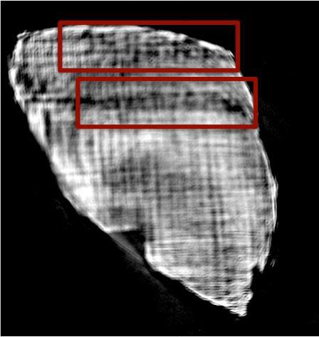 Hundreds of rolled, charred papyrus scrolls that were buried in ash in Herculaneum after the eruption of Mount Vesuvius in A.D. 79 could finally be read, thanks to a new technique that uses X-ray tomography. Here, letters from one of the interi