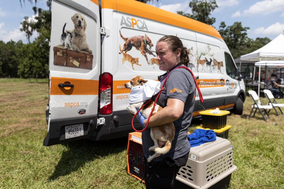 More than 50 dogs and cats “living in filthy conditions” were rescued Wednesday from a property on State Road 121 in Lake Butler, the Union County Sheriff’s Office said. UCSO and the Union County Animal Control requested the ASPCA’s assistance with rescuing the animals, which included newborn kittens.