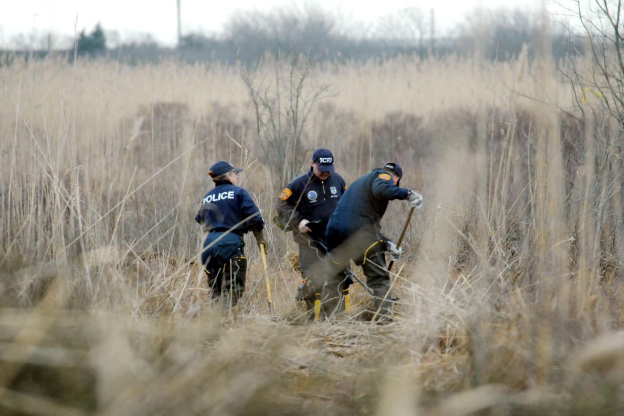Police use metal detectors to search a marsh.