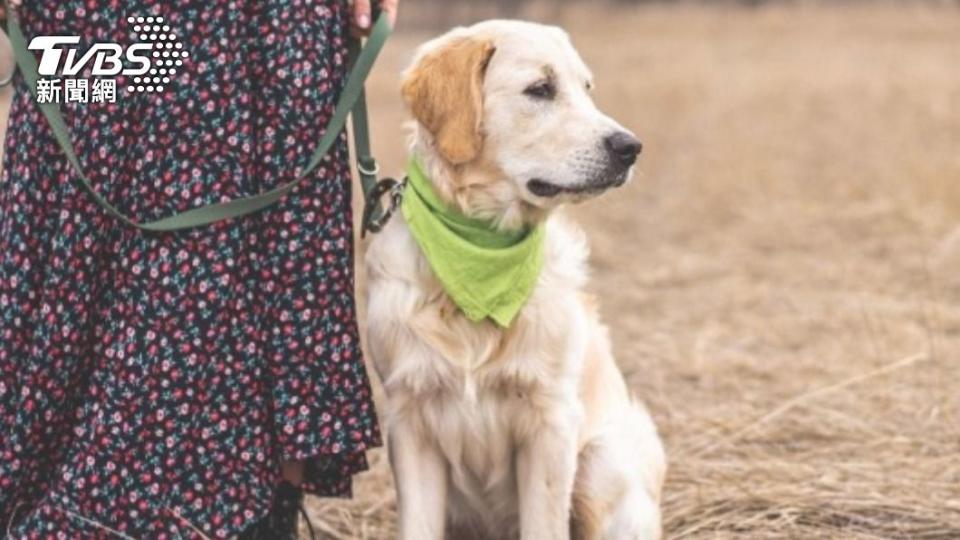 近日有大陸網友控訴，無良托運公司害死自己的愛犬。（示意圖／Shutterstock達志影像）