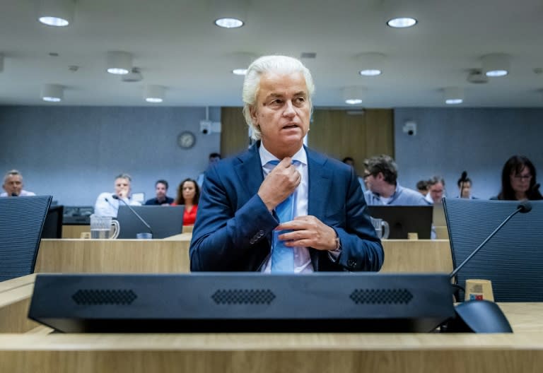 In den Niederlanden ist ein Pakistaner wegen des Aufrufs zum Mord an Geert Wilders zu zwölf Jahren Haft verurteilt worden. Der Rechtspopulist wertete das Urteil zwar als "gut", kritisierte aber die Abwesenheit des Angeklagten bei der Urteilsverkündung. (Remko de Waal)