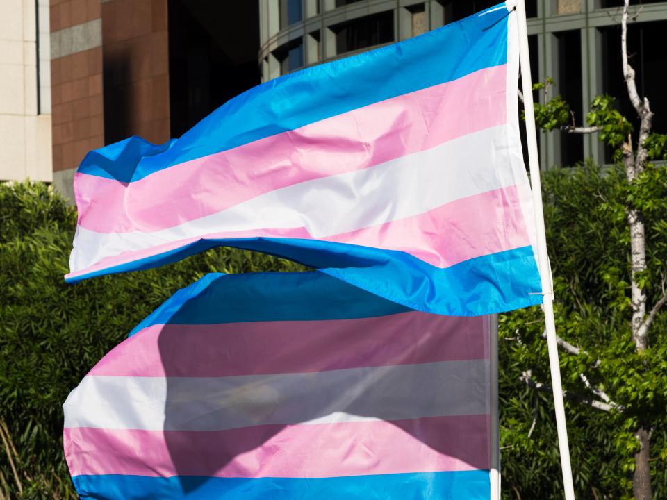 Trans pride flags flutter in the wind at a gathering to celebrate  International Transgender Day of Visibility, March 31, 2017 at the Edward R. Roybal Federal Building in Los Angeles, California. 
International Transgender Day of Visibility is dedicated to celebrating transgender people and raising awareness of discrimination faced by transgender people worldwide. / AFP PHOTO / Robyn Beck        (Photo credit should read ROBYN BECK/AFP/Getty Images)