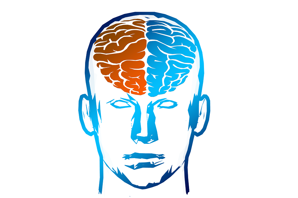 Hemisferios cerebrales. (Imagen creative commons vista en Pixabay).