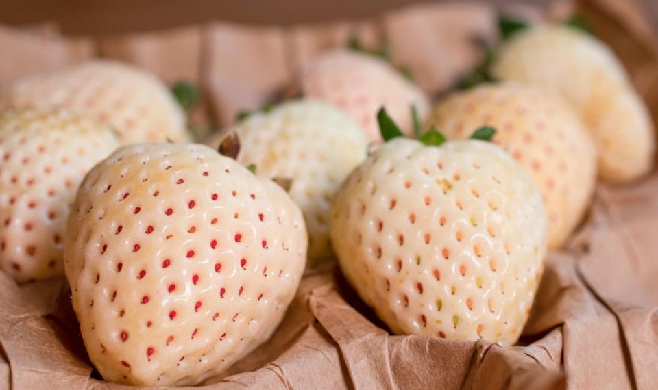 White pearl strawberries, which cost $128 a box on Ikigai. Lisa Anastassiu – stock.adobe.com