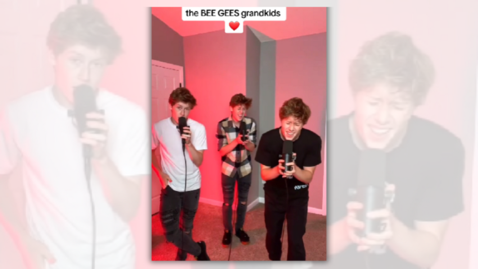 Three white men stand in a room with pink lighting. They hold microphones. At the top of the screen, it says, "the BEE GEES grandkids.". 