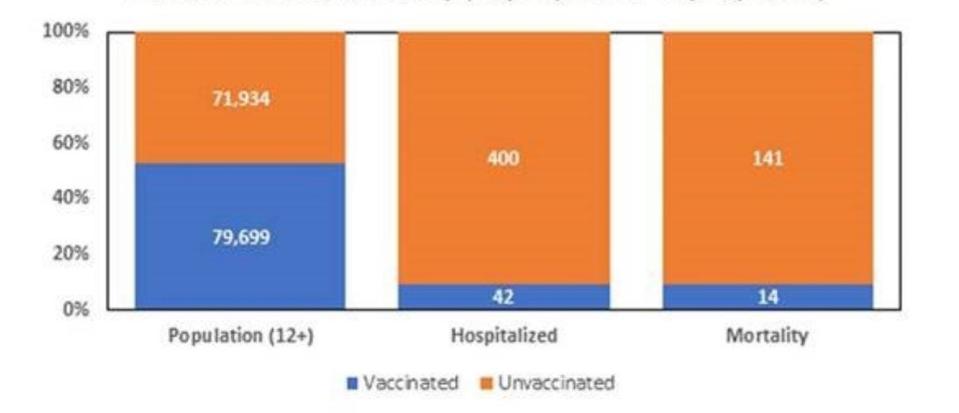 Comparison of vaccinated versus unvaccinated coronavirus patients in Shasta County hospitals with the disease, and those who died from it, spanning the three months from Aug. 10 to Nov. 10, 2021.