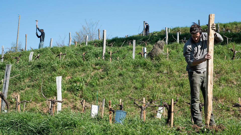 Tending to the land in Ruchères