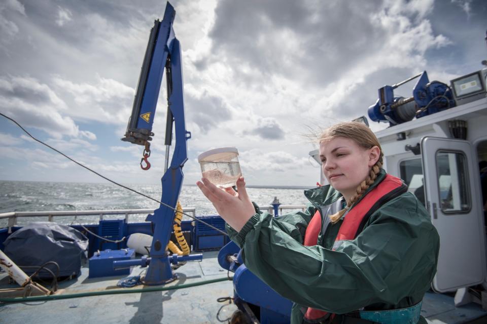 <p>No. 7 highest-paid job: Geoscientist and oceanographer<br>Average full-time hourly wage: $55.50<br>(Monty Rakusen / Getty Images) </p>