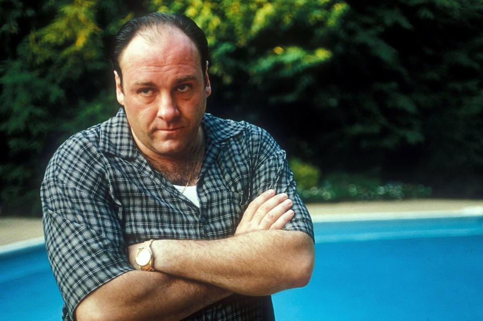 1. Tony Soprano - The Sopranos