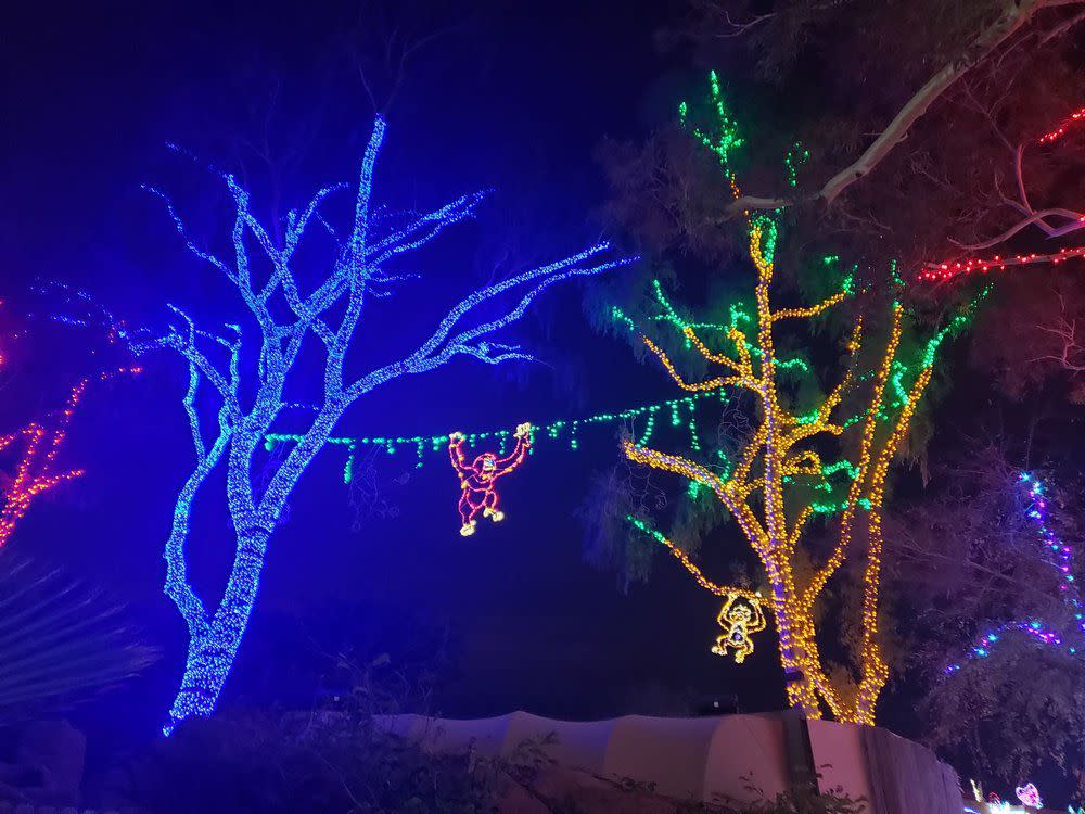 Phoenix Zoo Christmas Lights with Monkeys Climbing Through Trees