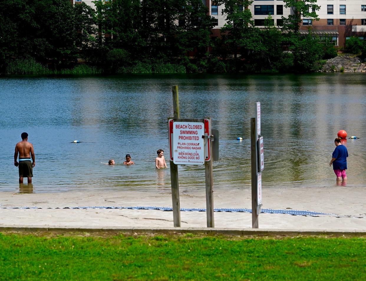 Swimmers at Bell Pond in July 2023, on a day when no lifeguards were on duty.