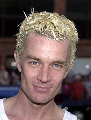 James Marsters at the Westwood premiere of Universal's American Pie 2