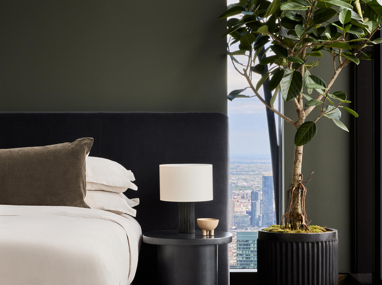  minimalist green bedroom with an indoor tree next to the bed 