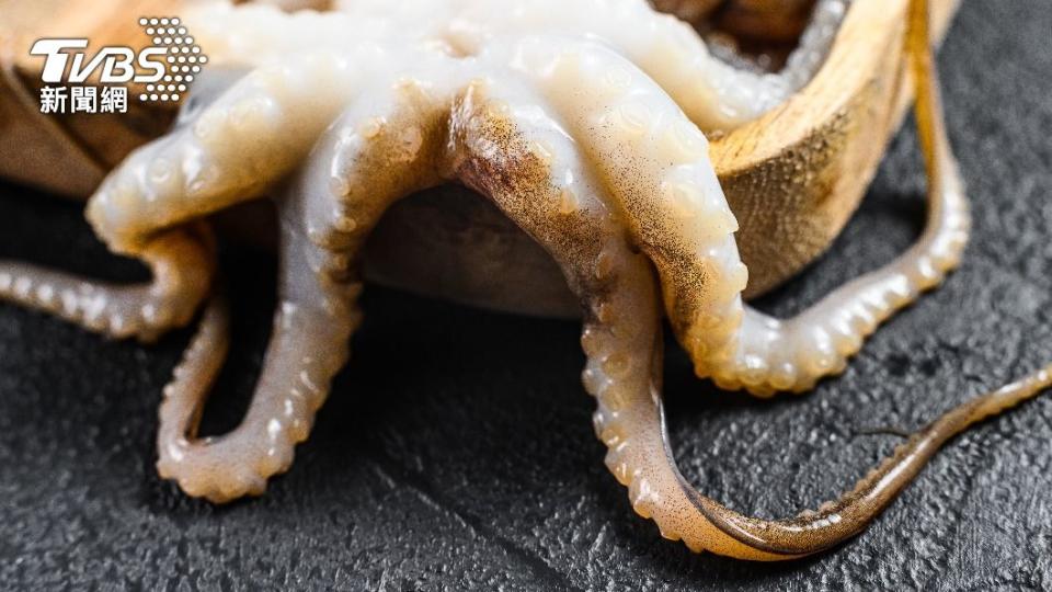 章魚及魷魚的營養價值大不同。（示意圖／shutterstock達志影像）