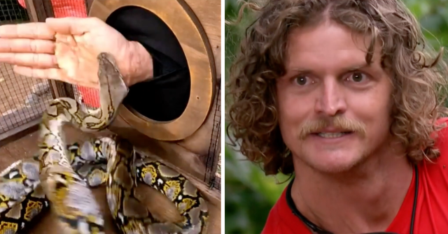 SAS Australia's Nick 'Honey Badger' Cummins looks almost unrecognisable as  he reveals shock new look