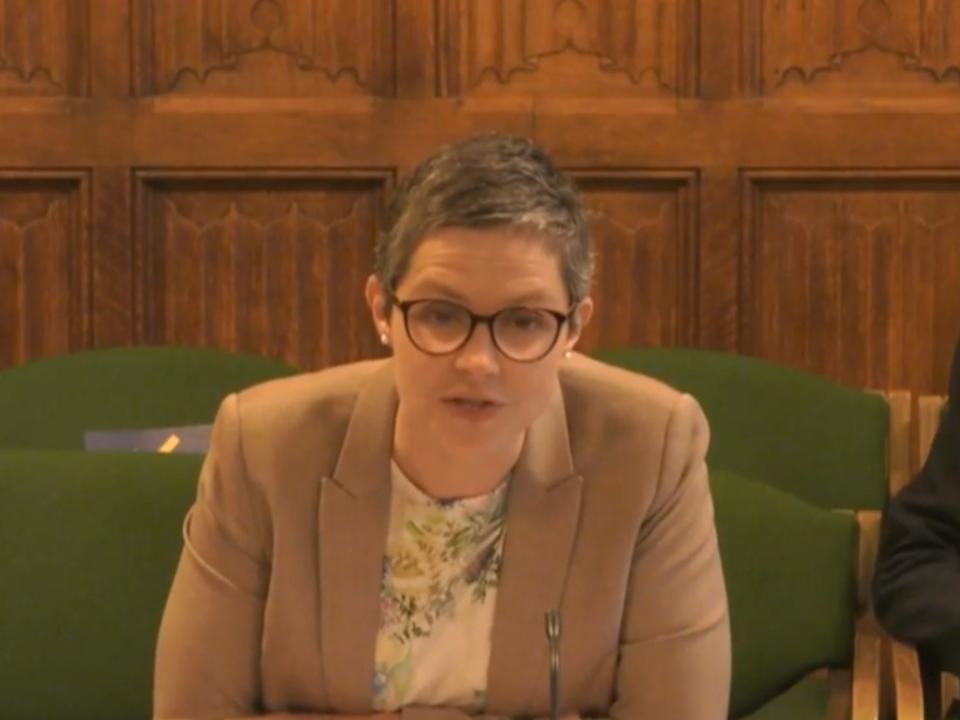 Smith gave evidence to support the Commons committee in its investigation into the proposed voter ID system (Parliament TV)