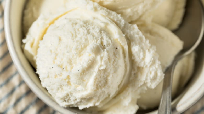 vanilla bean ice cream scoop