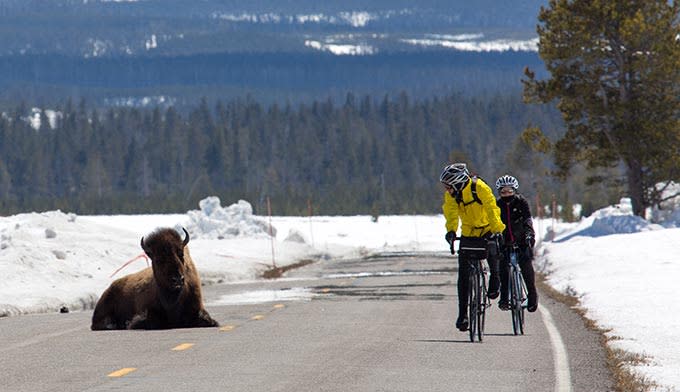 Spring bicycling from West Yellowstone in April