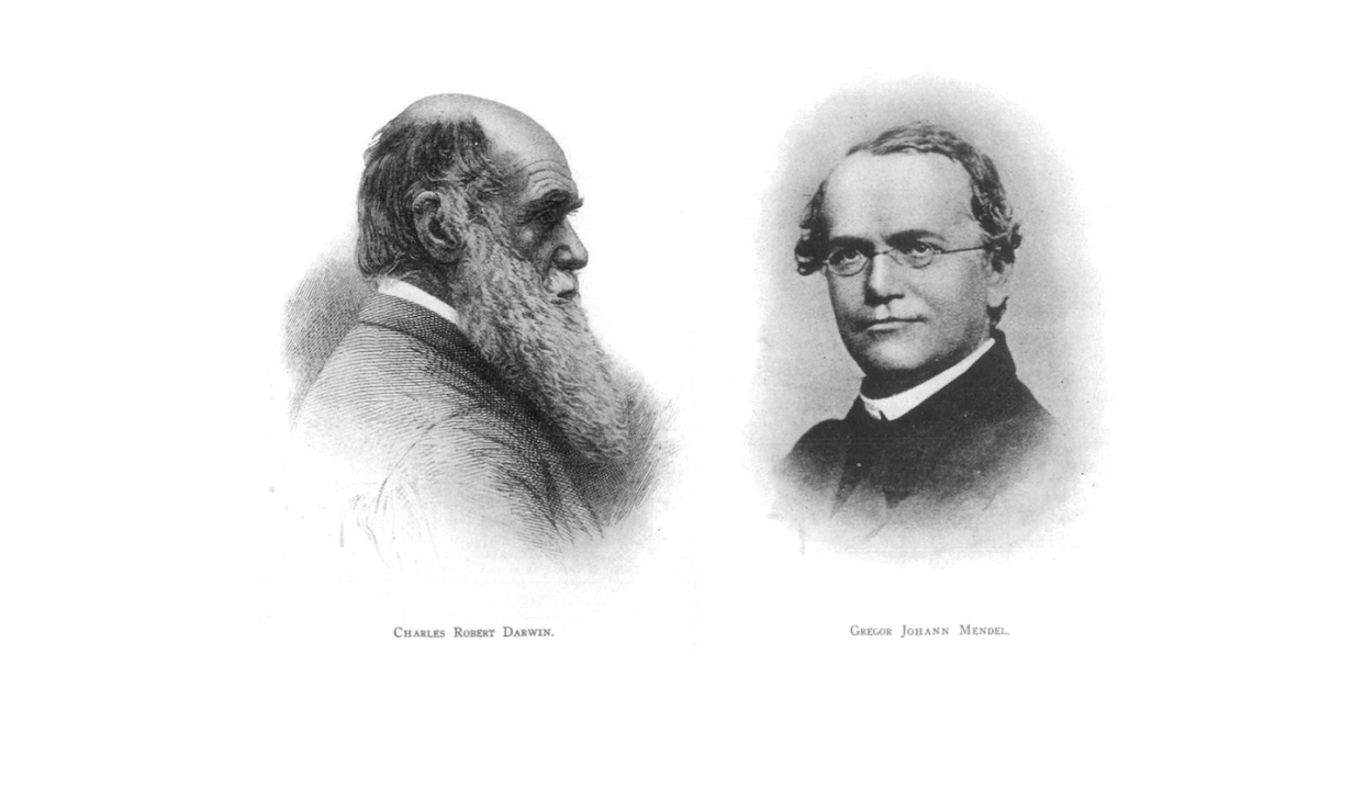 Charles Darwin (izquierda) y Gregor Mendel (derecha). <a href="https://commons.wikimedia.org/wiki/File:Darwinmendel.jpg" rel="nofollow noopener" target="_blank" data-ylk="slk:Wikimedia Commons;elm:context_link;itc:0;sec:content-canvas" class="link ">Wikimedia Commons</a>