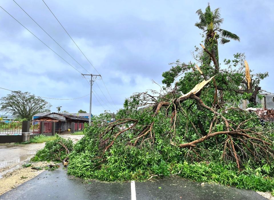 萬那杜近日遭颶風侵襲，首都維拉港樹木被吹倒。 (圖:推特@jeangene_vilmer)