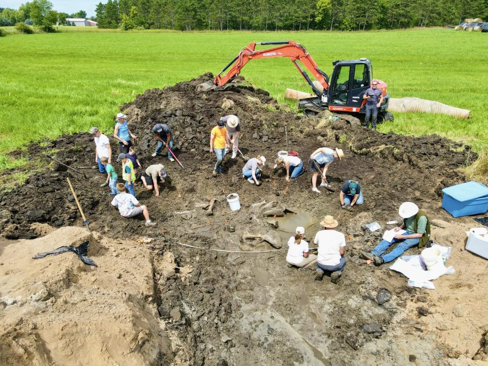 Grand Rapids Public Museum workers excavate mastodon bones from a Kent County field Aug. 12.