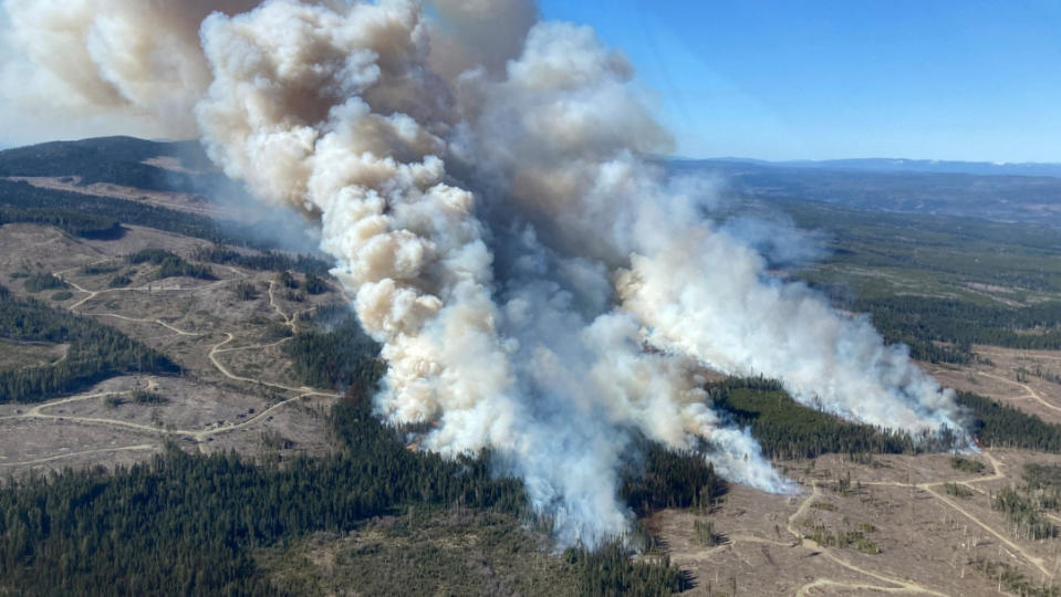 2024年4月20日，加拿大卑詩省的Burgess Creek野火。路透社