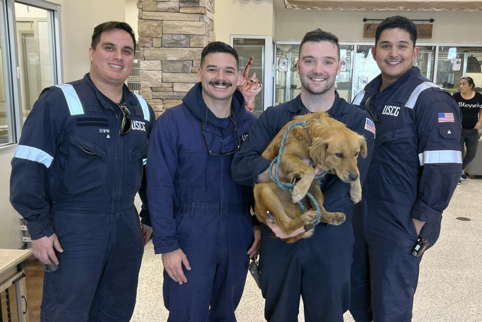 This image released by the U.S. Coast Guard, shows Connie the container dog, Wednesday, Jan. 31, 2024, with the four marine inspectors from the U.S. Coast Guard Sector Houston-Galveston who found her when randomly selecting containers for inspection at the Bayport Terminal at the Port of Houston. The officers heard sounds of barking and scratching coming from inside one of the stacked shipping containers. Coast Guard officials would later determine the canine had been trapped inside for at least eight days, with no food or water. (Petty Officer 1st Class Lucas Loe/U.S. Coast Guard via AP)