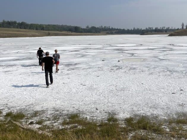 Researchers walking across the crusty surface of Last Chance Lake