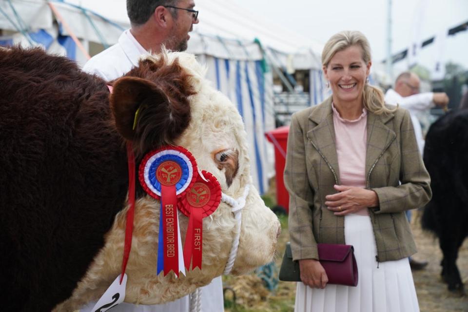 The Countess of Wessex views the champion Hereford bull at the Westmorland County Show (Owen Humphreys/PA) (PA Wire)