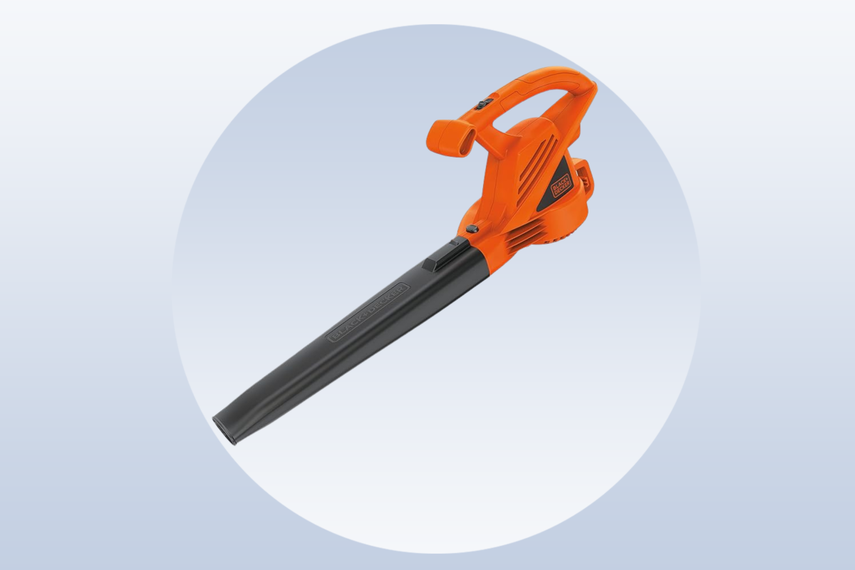 Fall cleanup is a ‘piece of cake’ with this Black+Decker leaf blower — it’s just 