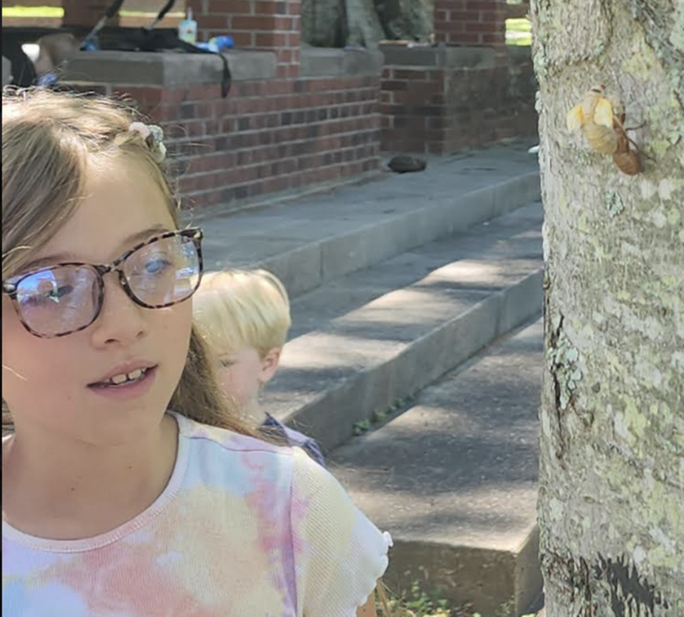 Aniston Rawdon, 9, got to see a cicada come out of its shell at 4H Science Club in York.