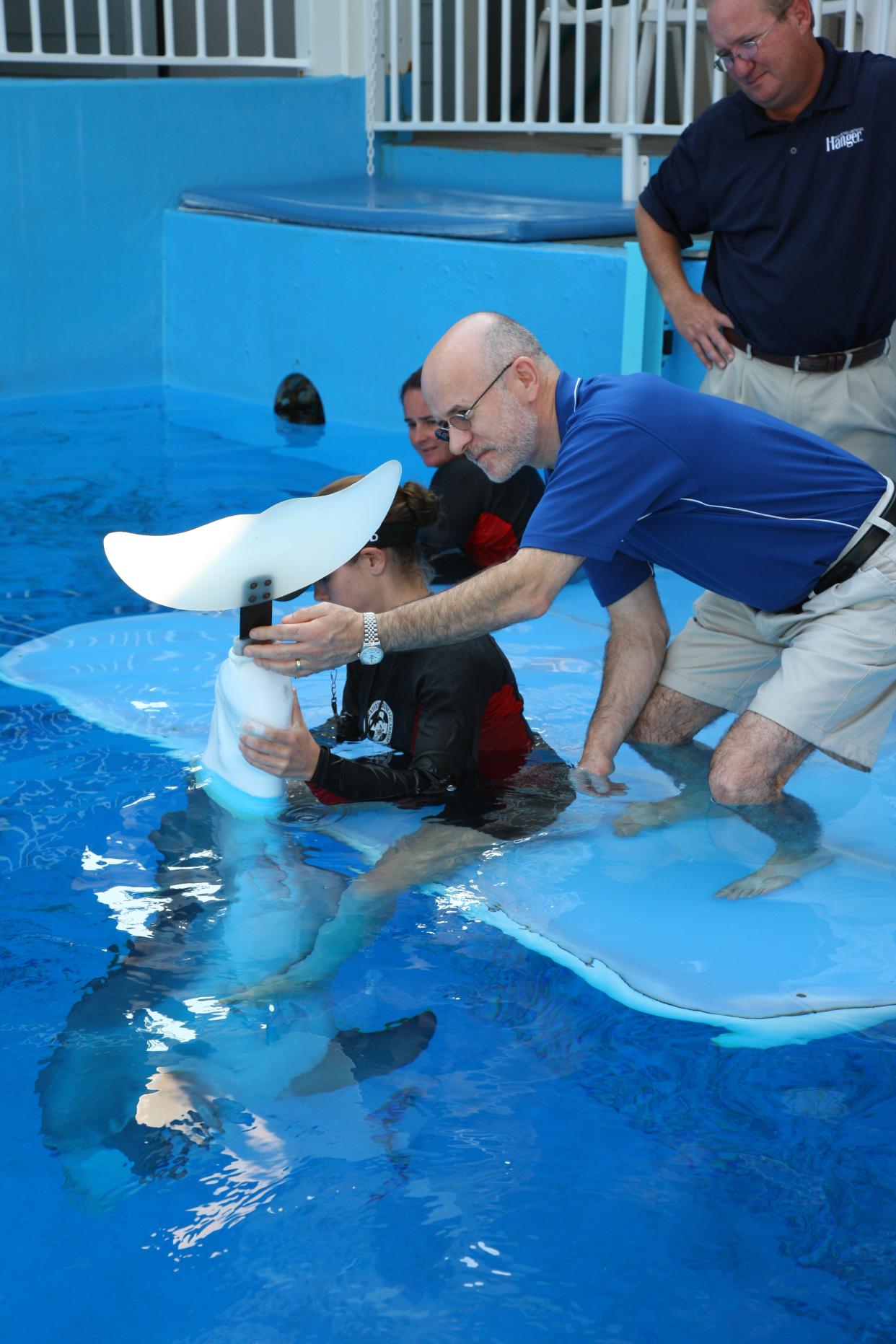 Hanger prosthetists Kevin Carroll, in blue, and Dan Strzempka, at right, fit Winter the dolphin with her prosthetic tail in this undated photo.