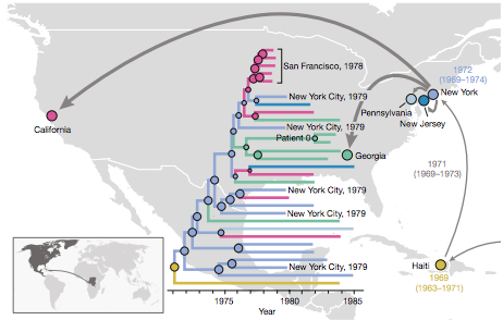 The early patterns of HIV-1 subtype B spread in the Americas.