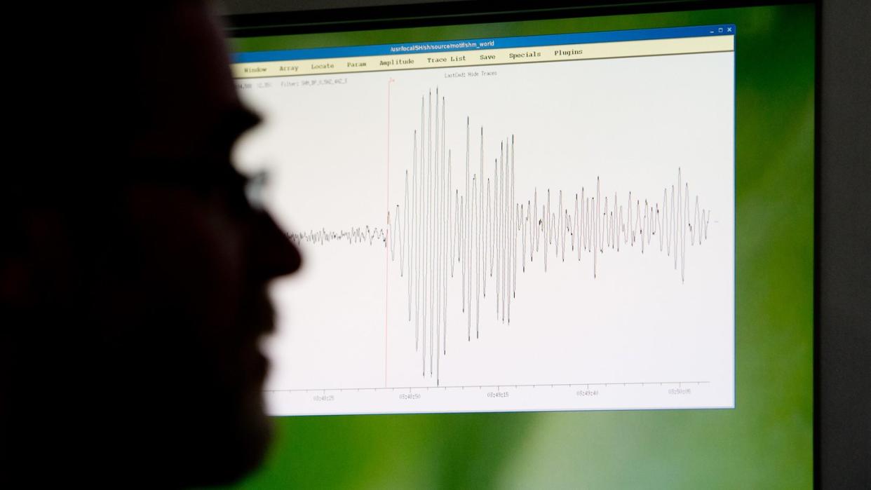 Geophysiker in der Bundesanstalt für Geowissenschaften und Rohstoffe (BGR) in Hannover. In Niedersachsen ist es zu einem Erdbeben der Stärke 3,0 gekommen. Foto: Julian Stratenschulte/Archiv