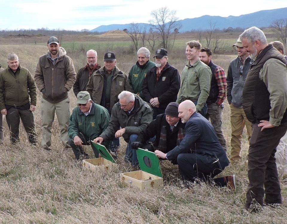Kneeling with boxes of northern bobwhite quail Tuesday, from left, are Dave Putnam and Jay Delaney, former Pa. Game Commission board members, and Letterkenny Army Depot Todd Black, deputy to the commander, and Jerod Weilacher, chief of staff at Letterkenny.