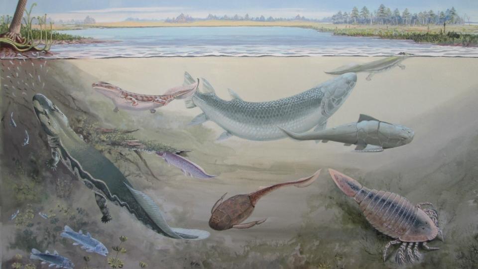 An illustration of Late Devonian animals swimming in the water.
