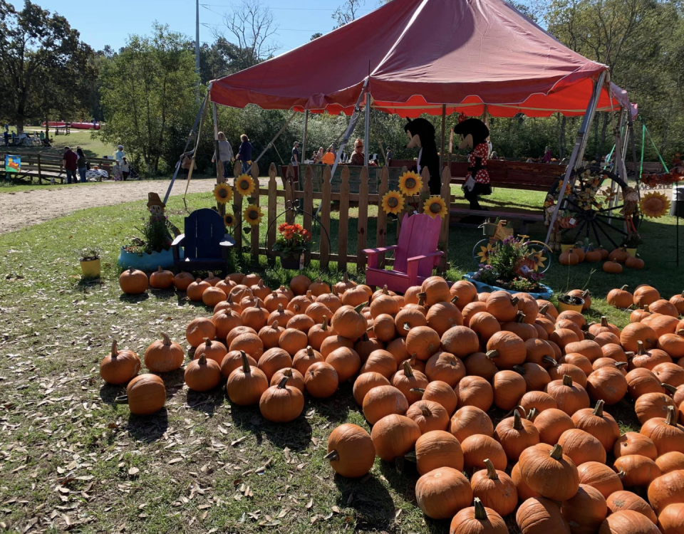 14) Mrs. Heather's Pumpkin & Strawberry Patch, Louisiana