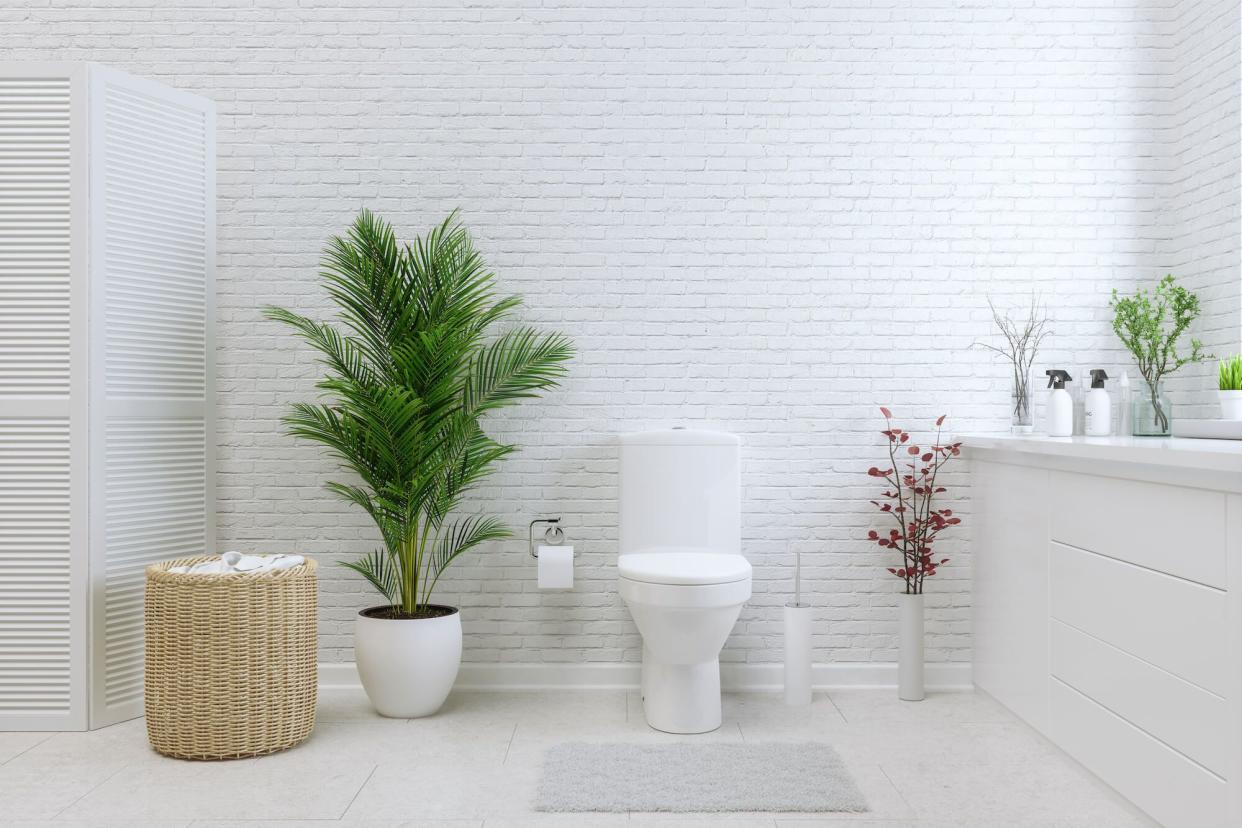 toilet against white walls with plant